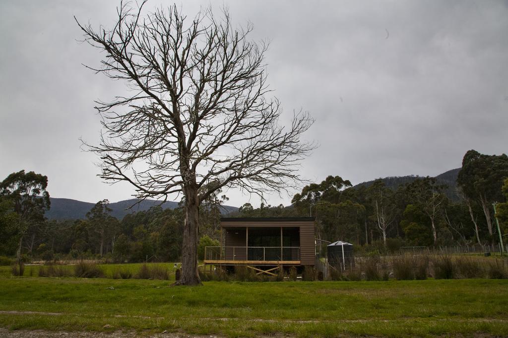 Tyenna River Cottages Buitenkant foto
