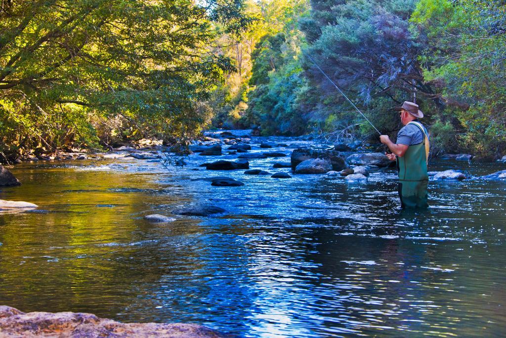 Tyenna River Cottages Buitenkant foto